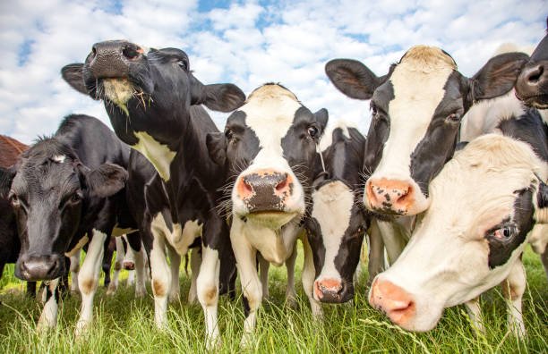 Bezkontaktní ženy aneb Agrostory